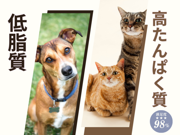 高タンパク・低脂肪