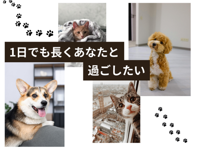 健康・長寿が心配