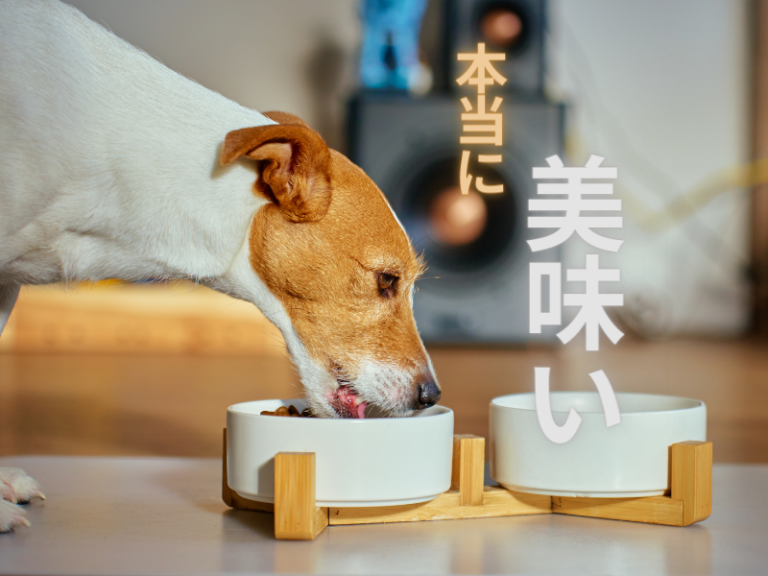 偏食で困っている