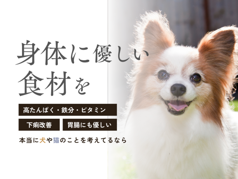 アレルギーが心配